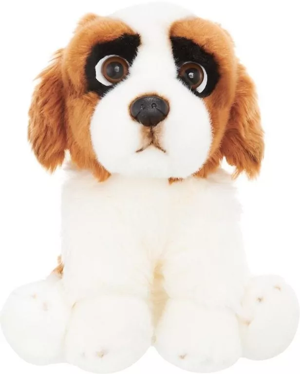 Pluszak Pies Bernardyn 30cm - tantis.pl