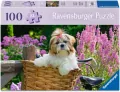 Puzzle 100 Little Dog FW - tantis.pl