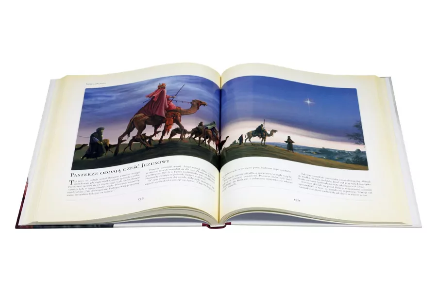 Biblia. Ilustrowane historie ze Starego i Nowego Testamentu - tantis.pl
