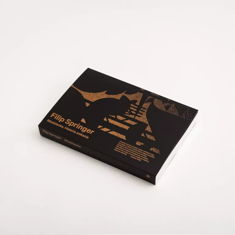 Miedzianka. Historia znikania - tantis.pl