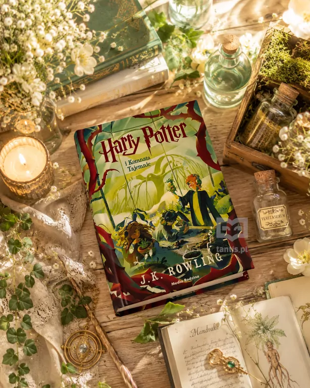 Harry Potter i Komnata Tajemnic (barwione brzegi) - tantis.pl