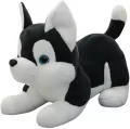 Maskotka przytulanka Husky czarno biały 30cm - tantis.pl