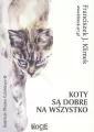 Koty są dobre na wszystko - tantis.pl