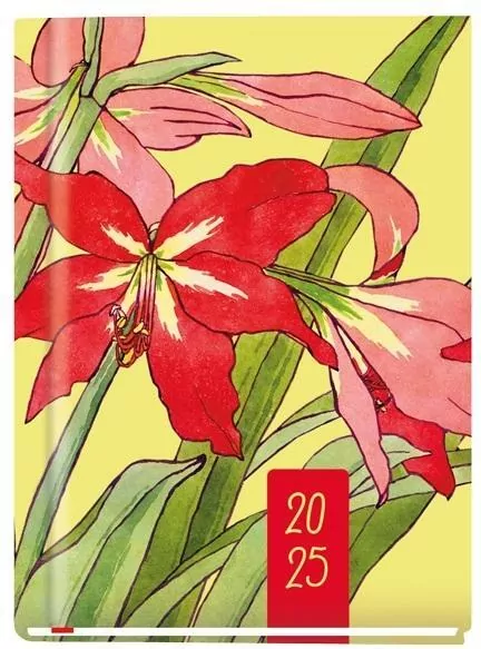 Terminarz 2023 Marta. Michalczyk i Prokop - tantis.pl