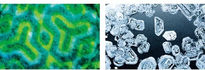 Mój pierwszy mikroskop. Naukowa zabawa. 50071 - tantis.pl