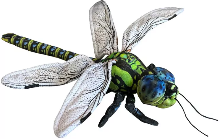 Ważka 40cm - tantis.pl