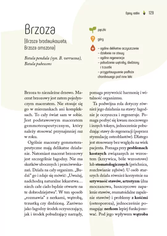 Gemmoterapia. Pączki roślin dla naszego zdrowia - tantis.pl