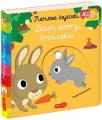 Dzień dobry, króliczku! Akademia mądrego dziecka. Pierwsze bajeczki - tantis.pl