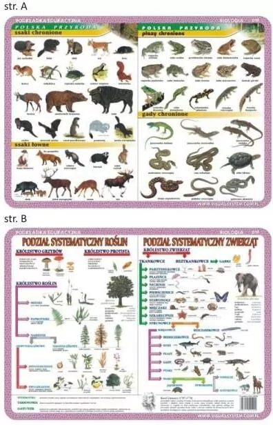 Podkładka edukacyjna. Biologia - tantis.pl