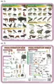 Podkładka edukacyjna. Biologia - tantis.pl
