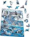 Larsen The cold and beautiful Antarctica (Maxi) - tantis.pl