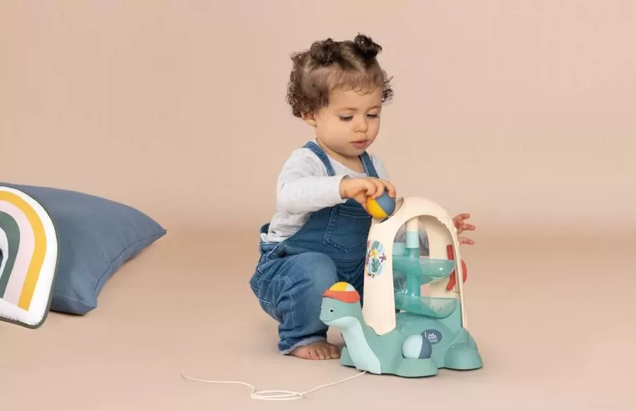 Żółw do ciągnięcia ze zjeżdżalnią - tantis.pl