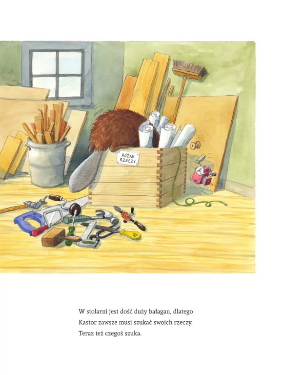 Kastor majsterkuje - tantis.pl