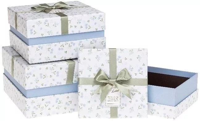 Pudełko prezentowe z kokardą biały/błękit - tantis.pl