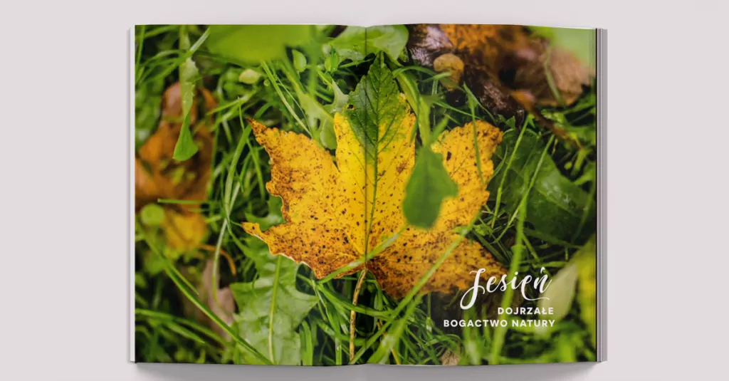 Dom pełen miłości. Przepisy na cztery pory roku - tantis.pl