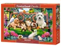 Puzzle 1000. Pets in the Park - tantis.pl