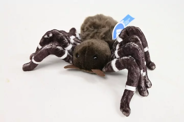 Pająk 25cm - tantis.pl