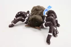 Pająk 25cm