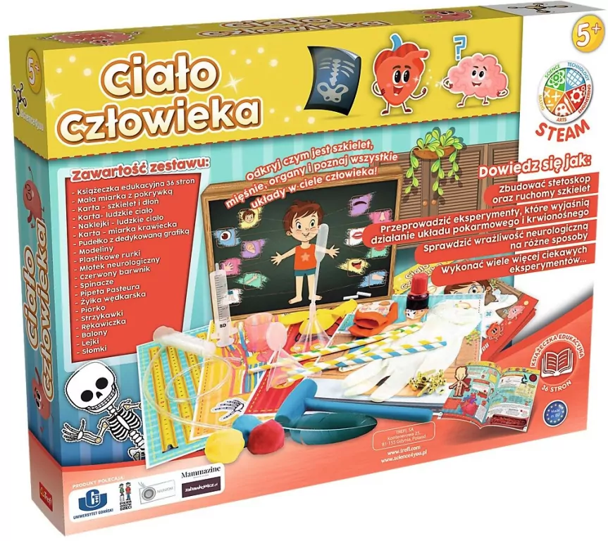 Ciało człowieka TREFL - tantis.pl