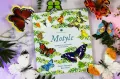 Motyle. Modele 3D. Młodzi przyrodnicy - tantis.pl
