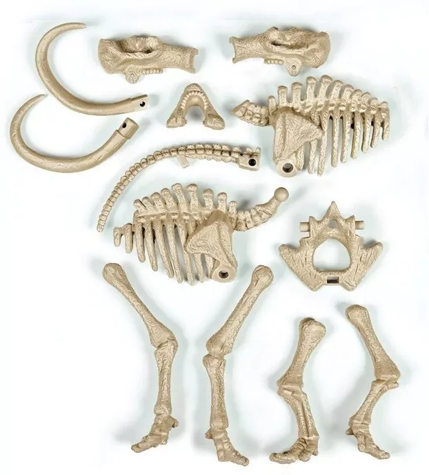 Skamieniałości. Naukowa zabawa. Mamut - tantis.pl