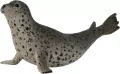 Collecta. Foka pstra - tantis.pl