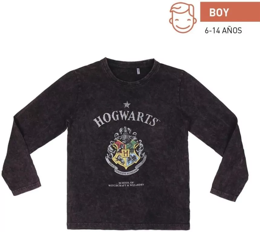 Bluzka chłopięca długi rękaw Harry Potter rozm.158 - tantis.pl