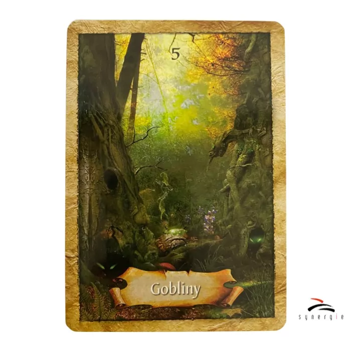 Zaczarowana Mapa. Karty Wyroczni - tantis.pl