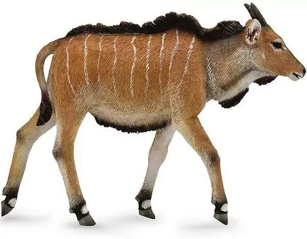 Antylopa Eland cielę - tantis.pl