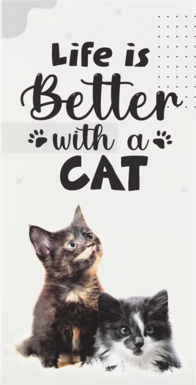 NOTES ZAKLADKI IND 200X100 KITTY STK PB 24/96 - tantis.pl