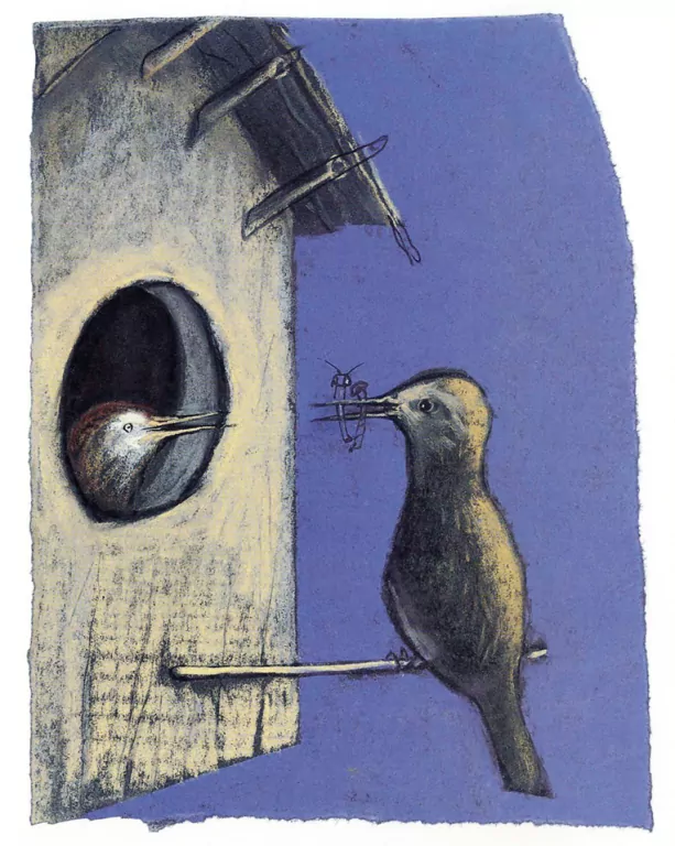 Pani Drozdowa - tantis.pl