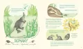 Genialne nosy - tantis.pl