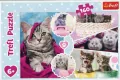 Puzzle 160. Urocze kotki - tantis.pl