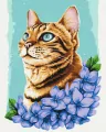 Malowanie po numerach - Lazurowy kot 40x50cm - tantis.pl