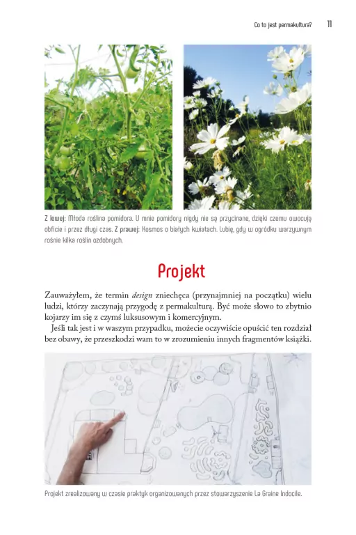 Permakultura w ogrodzie - tantis.pl