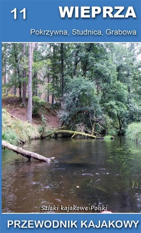 Wieprza, Pokrzywna, Studnica, Grabowa. Przewodnik - tantis.pl