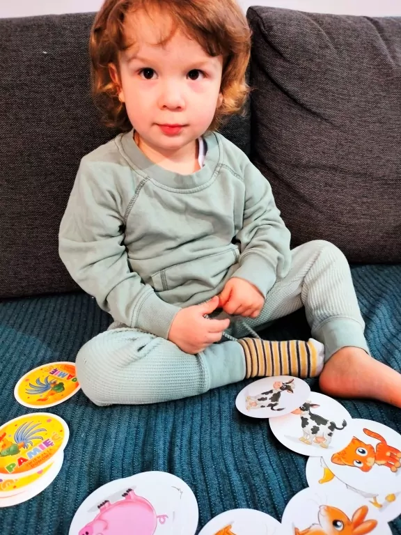 Pamięć. Zwierzęta Domowe. Gry dla całej rodziny - tantis.pl