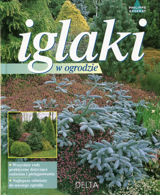 Iglaki w ogrodzie - tantis.pl
