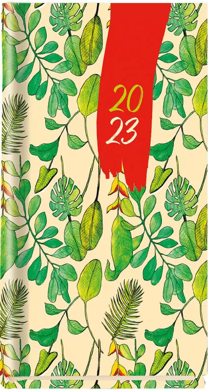 Terminarz 2023 Koliber. Michalczyk i Prokop - tantis.pl