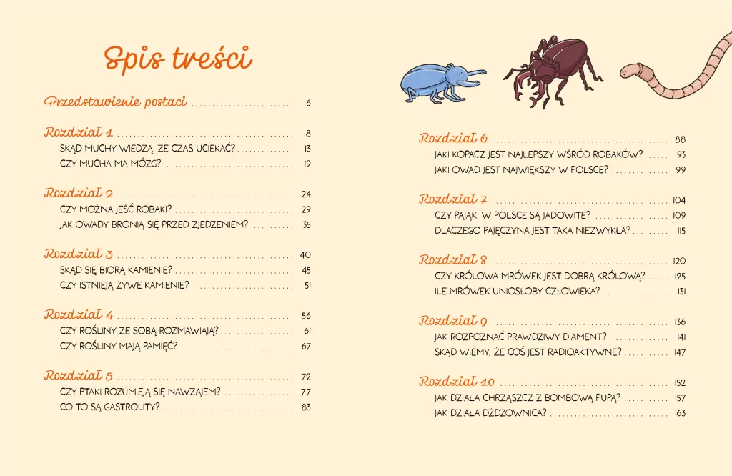 Patyki, kamyki i ROBALE. - tantis.pl