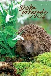 Kalendarz 2026 reklamowy Dzika przyroda - tantis.pl