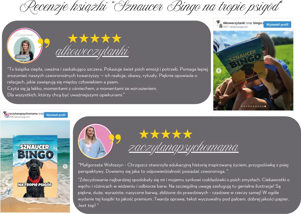 Sznaucer Bingo na tropie psigód - tantis.pl