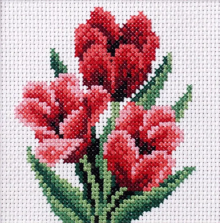 Haft krzyżykowy - Tulipany - tantis.pl