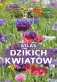 Atlas dzikich kwiatów - tantis.pl