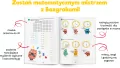 Kapitan Nauka. Bazgraki ćwiczą matematykę ćw. 2 - tantis.pl