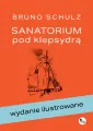 Sanatorium pod klepsydrą. Wydanie ilustrowane - tantis.pl