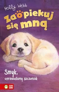 Smyk, uprowadzony szczeniak. Zaopiekuj się mną - tantis.pl