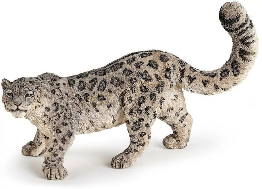 Lampart śnieżny - tantis.pl