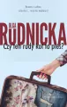 Czy ten rudy kot to pies? - tantis.pl
