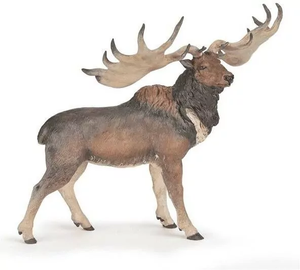 Megaloceros - tantis.pl
